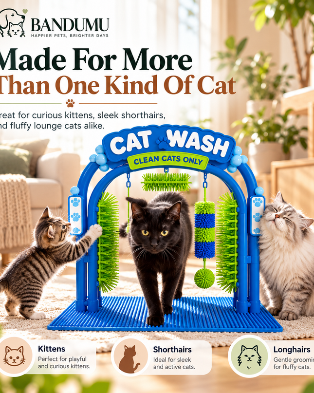 DIDOSHE Cat Wash™ | Self-Grooming & Play Station